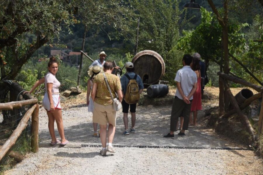Sorrento Farm Experience: Pizza, Cheese, Wine & More - The D.O.P. Certified Farm Tour: Cheese, Wine, and Sustainable Farming
