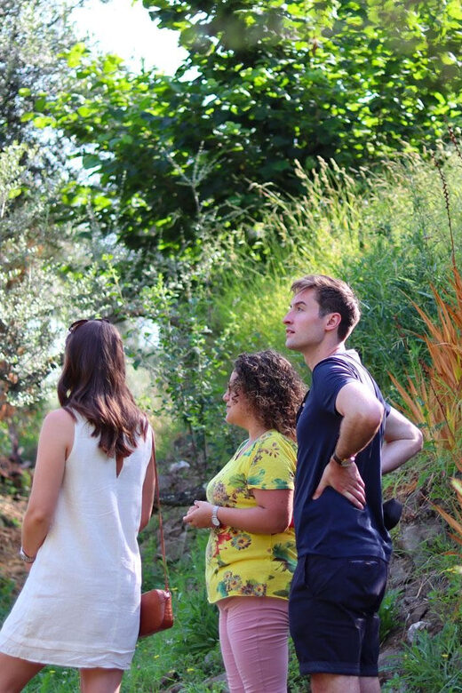 Sorrento: Guided Olive Mill Visit with Tastings - Should You Book This Sorrento Olive Mill Visit?