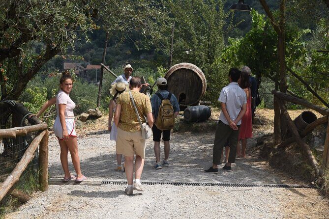 Sorrento Half-Day Farm Experience: Pizza, Cheese Making and Wine - Wine, Limoncello, and Lemon Grove Stops