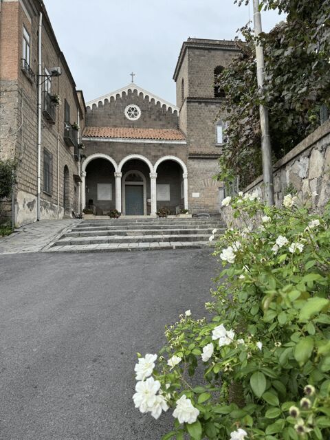 Sorrento: Lemon Garden Guided Tour with Tastings - Should You Book the Lemon Garden Guided Tour with Tastings?