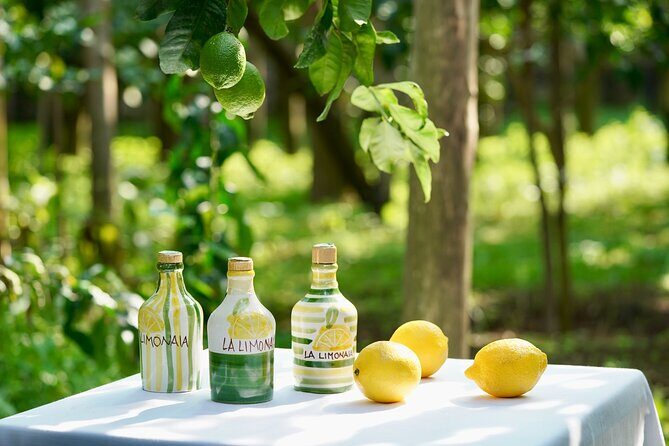 Sorrento Lemon Grove Experience with Local Product Tasting - La Limonaia lemon grove: what you’re really signing up for