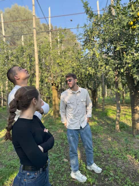 Sorrento: Lemon Picking & Tasting Tour - Meet the people and the dog: why small details change the vibe