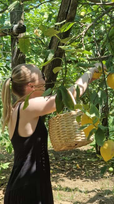Sorrento: Lemon Picking & Tasting Tour - Practical tips so your lemon day stays fun