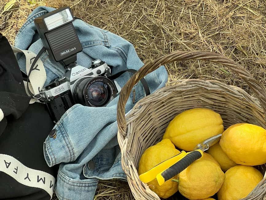 Sorrento: Lemon Picking & Tasting Tour - The orchard game plan: two farms with Tonino and Giovanni