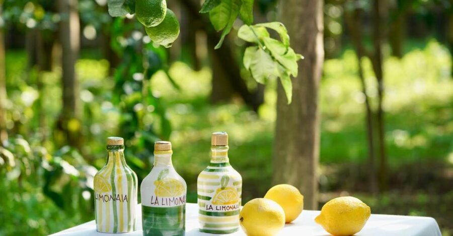 Sorrento Lemon Tour - La Limonaia: a lemon grove you can reach fast