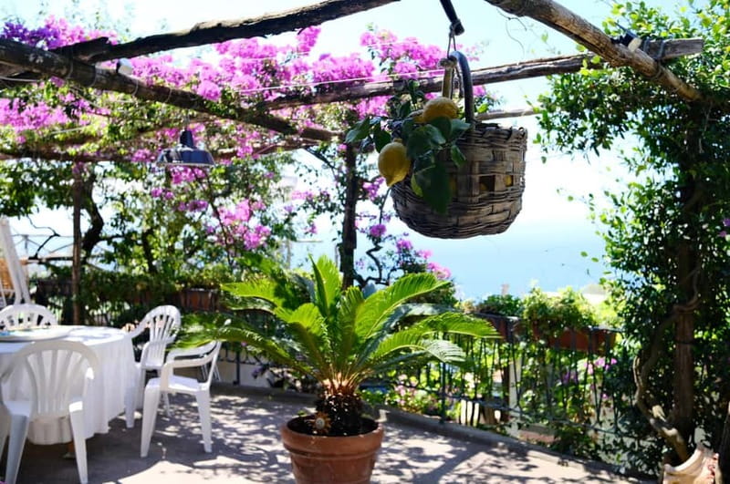 Sorrento: Marì Cooking Class in a Family Farm w/ Coast View - Key highlights you’ll feel right away