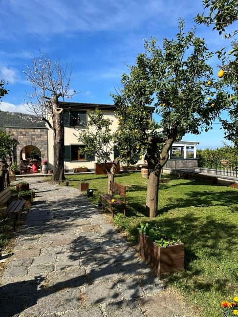 Sorrento: Mozzarella experience. Say CHEESE with us! - Should you book the Sara mozzarella and lemon farm experience