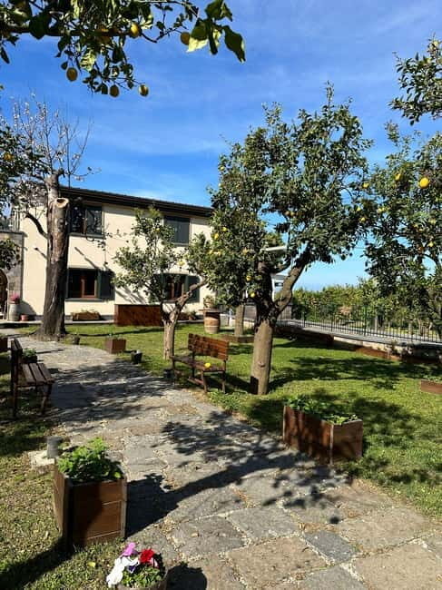 Sorrento: Mozzarella experience. Say CHEESE with us! - The lemon orchard stroll: turning a fruit into a flavor map
