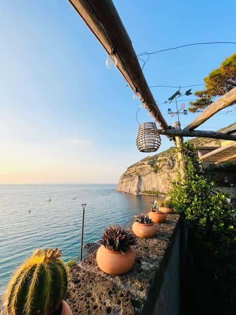 Sorrento: Pizza Class with Sea View - Aperitivo in the citrus grove: Montanarine and local wine to loosen the mood