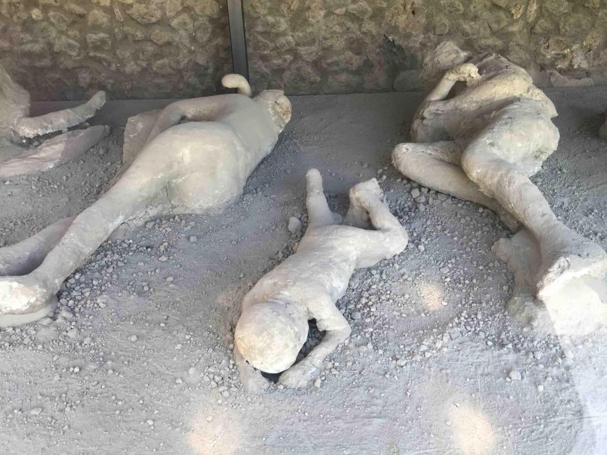 Sorrento: Pompeii & Herculaneum Day Trip Entry and Lunch - Price and Value: Is $175.59 Worth It?