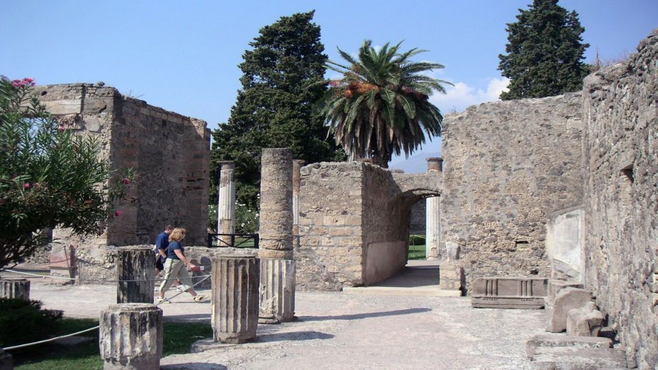 Sorrento: Pompeii & Herculaneum Tour with Skip-the-Line - Skip-the-line tickets: where the time savings actually show up