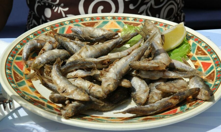 Sorrento: Sea-Fishing Tour with Lunch Onboard - Who This Tour Suits Best (And Who Might Not)
