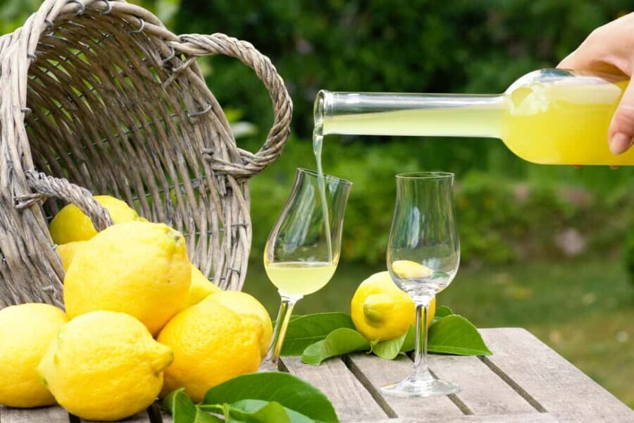 SORRENTO: Sunset Limoncello Making After-Dinner Experience - Key Things I’d Focus On