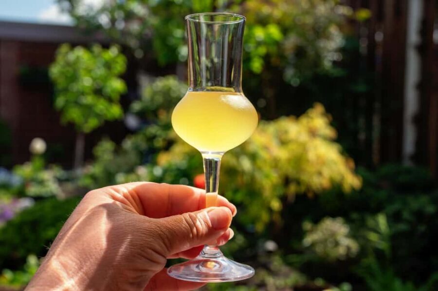 SORRENTO: Sunset Limoncello Making After-Dinner Experience - It’s Not a Long Tour. That’s a Feature.