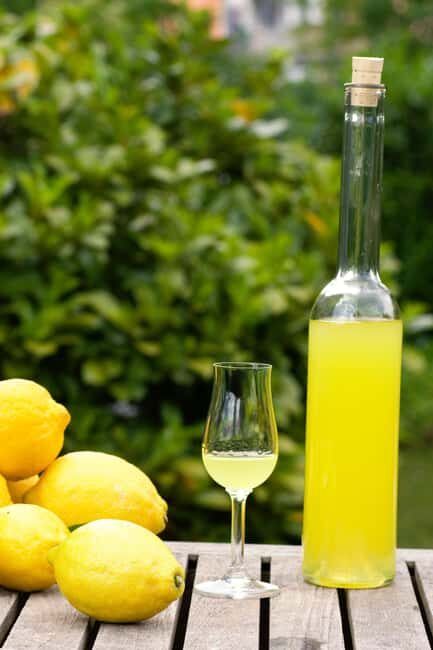 SORRENTO: Sunset Limoncello Making After-Dinner Experience - Who Should Book This Limoncello Sunset Workshop
