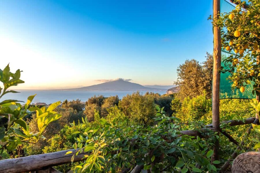 SORRENTO: Sunset Limoncello Making After-Dinner Experience - Small Practical Tips That Make the Evening Better