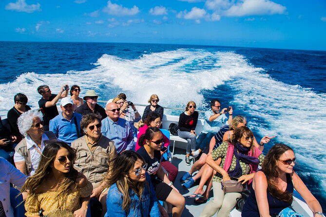 Sorrento to Capri and back: Minicruise Daily Return Ticket - Starting at Marina Piccola: your simple, no-drama launch point