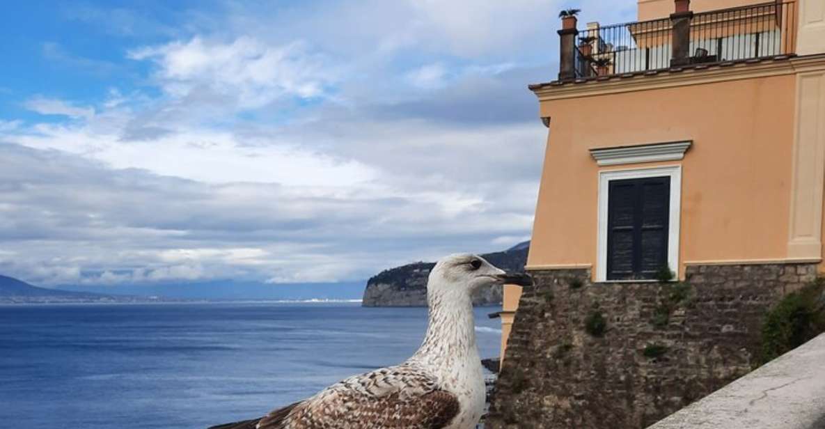 Sorrento: walking in the Grand Tour with stunning landscapes - Key Things You’ll Notice on This Grand Tour Walk