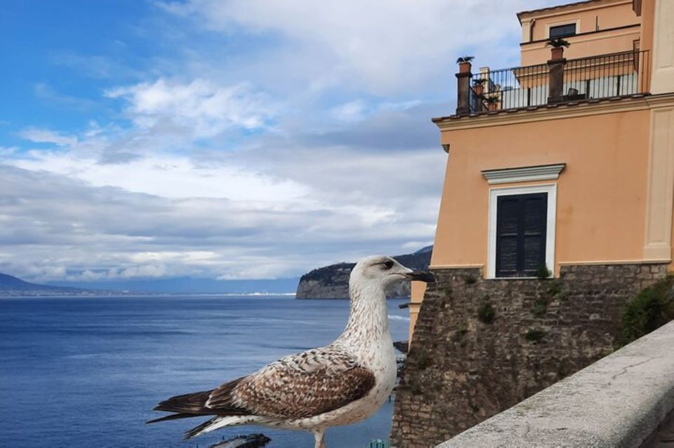 Sorrento: walking in the Grand Tour with stunning landscapes - Chiostro di San Francesco: A Cloister That Makes You Lower Your Voice