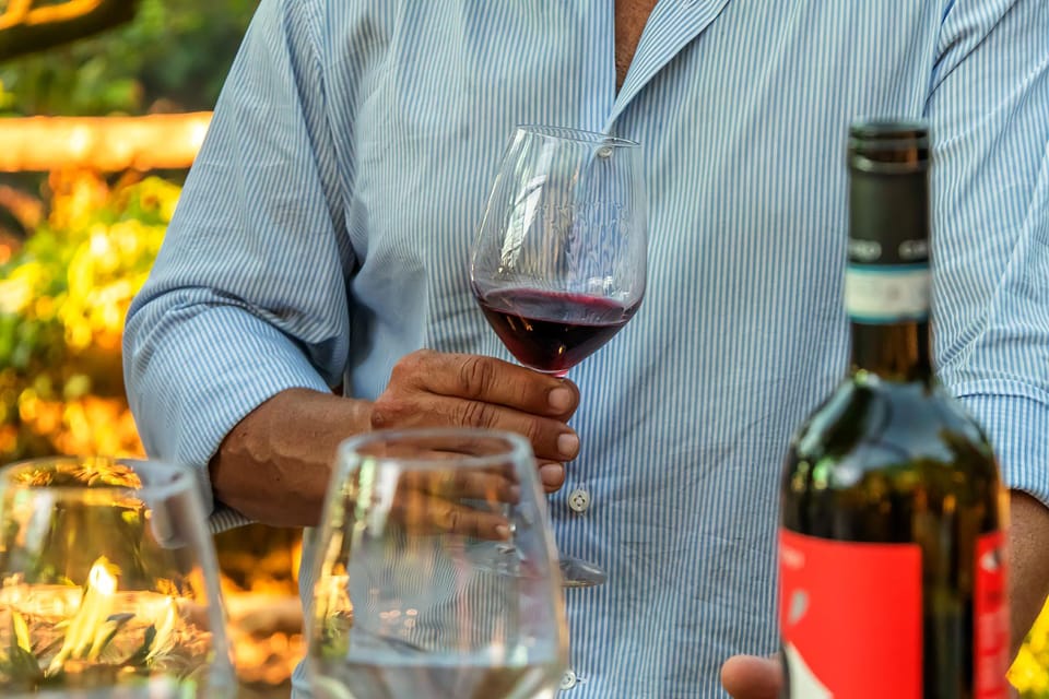 Sorrento: Wine Tasting Overlooking the Sea in a Lemon Grove - Should you book this Sorrento wine tasting?