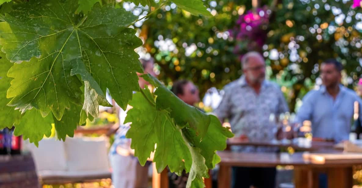 Sorrento: Wine Tasting Overlooking the Sea in a Lemon Grove - Via Casarlano 30: a garden tasting that stays calm