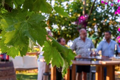 Sorrento: Wine Tasting Overlooking the Sea in a Lemon Grove - Getting there: Vallone dei Mulini to the farmhouse by minivan