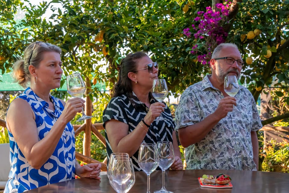Sorrento: Wine Tasting Overlooking the Sea in a Lemon Grove - The tasting itself: 5 wines in 1.5 hours, with real coaching
