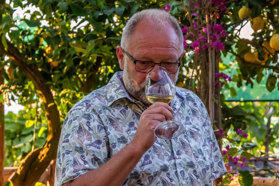 Sorrento: Wine Tasting Overlooking the Sea in a Lemon Grove - Local products pairing: how the bites sharpen the wine