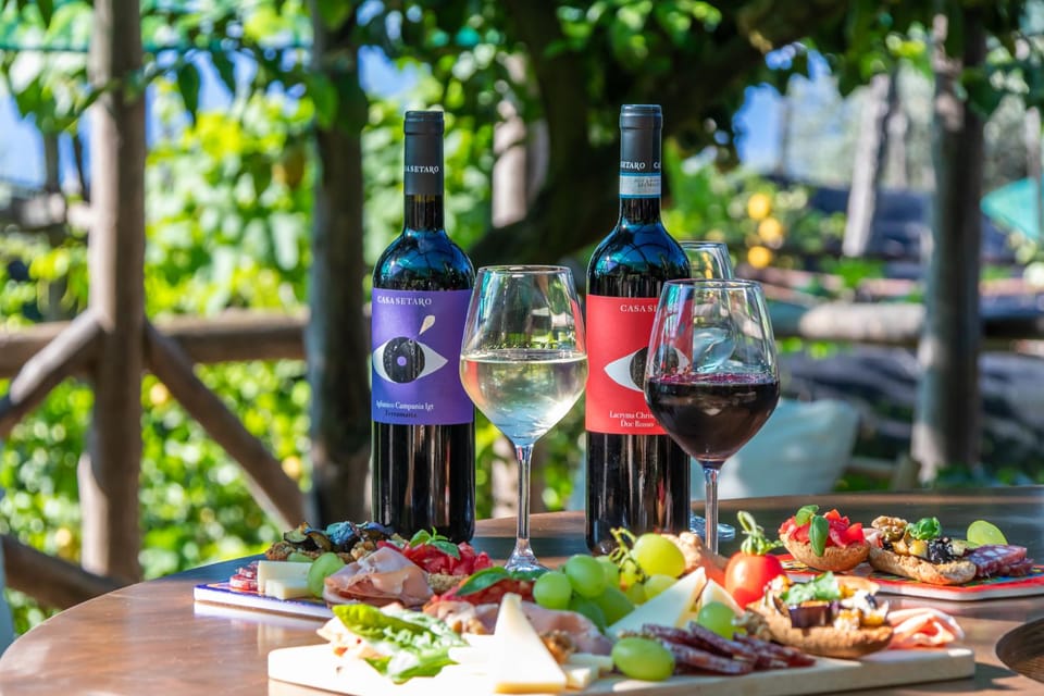 Sorrento: Wine Tasting Overlooking the Sea in a Lemon Grove - Who this Sorrento wine tasting is perfect for