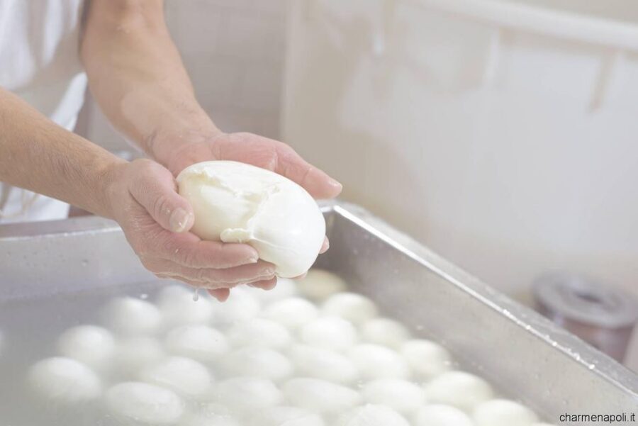 Street food tour: the Neapolitan culinary art - Skip-Line Setup and a Guide You’ll Actually Use