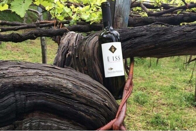 Tenuta San Francesco Wine Tasting - Key things to know before you go
