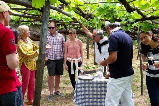 Tenuta San Francesco Wine Tasting - Stop 2: The 18th-century Masseria and 17th-century cellar