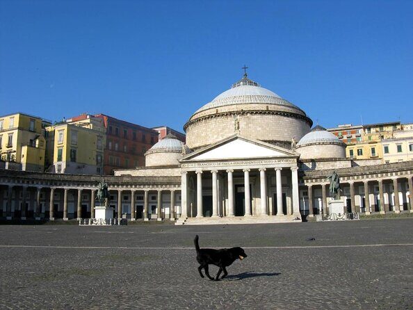 The Origins Of Naples. Unique private tour of the monumental area - Stop 2: Piazza del Plebiscito and the Bourbon story in stone