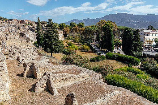 The Ultimate Ruins of Pompeii and Herculaneum Private Day Trip - Why this private Pompeii–Herculaneum plan fits a 5-hour day