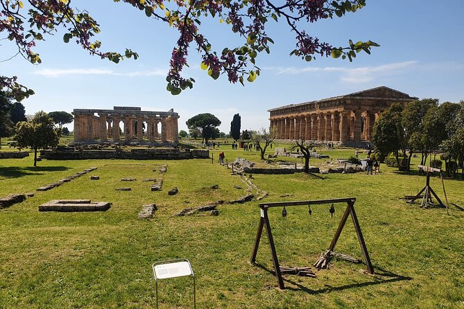 Tour at the Temples and the National Museum of Paestum - Timing and logistics: meeting point, hours, and how to plan
