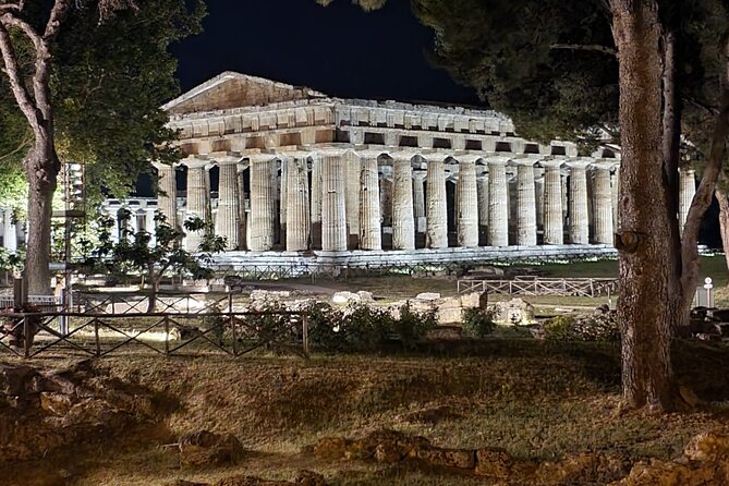 Tour at the Temples and the National Museum of Paestum - Who this tour suits best—and who should skip it