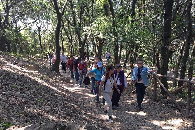 Tour in the ruins of Cuma with an archaeologist. - Practical tips for a smoother Cuma visit