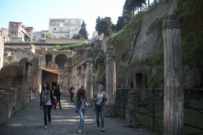 Tour in the ruins of Herculaneum with an archaeologist - Entrance tickets and value: how the €16 fee changes the math