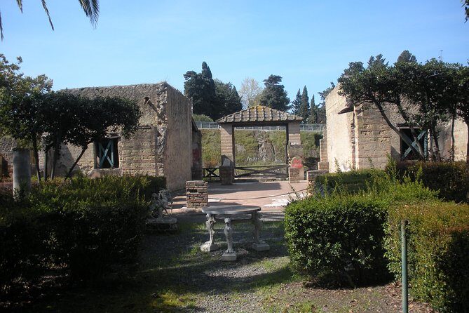 Tour in the ruins of Herculaneum with an archaeologist - Who should book this Herculaneum archaeologist tour