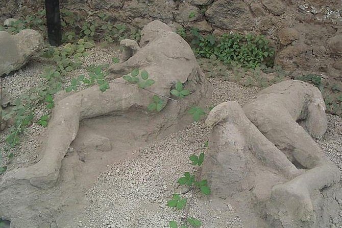 Tour of Mt. Vesuvius+Sorrento+Pompeii (Full Day) - Should you book this Vesuvius, Sorrento, Pompeii day trip?