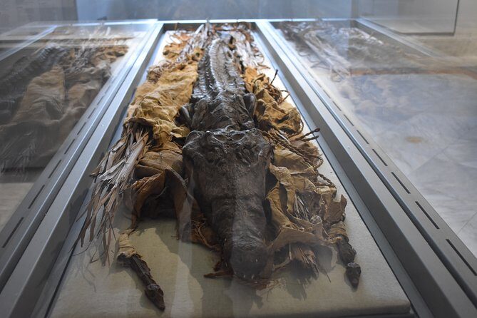 Tour of the Archaeological Museum of Naples - Price and timing: when this tour is a smart move