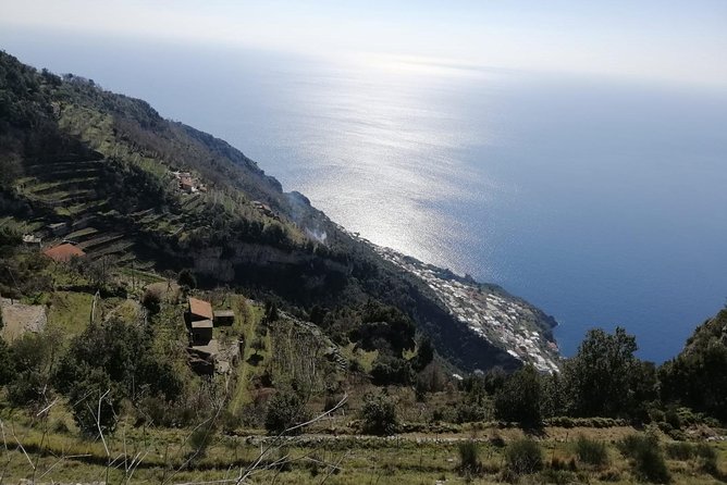 Trail of the gods with local guide Saveria Fiore "Ladybug" - Nature lessons you can actually use: flora, fauna, and wild herbs