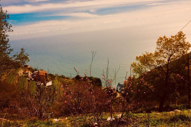 Trail of the gods with local guide Saveria Fiore "Ladybug" - Price and value: what $77.89 buys on the Path of the Gods