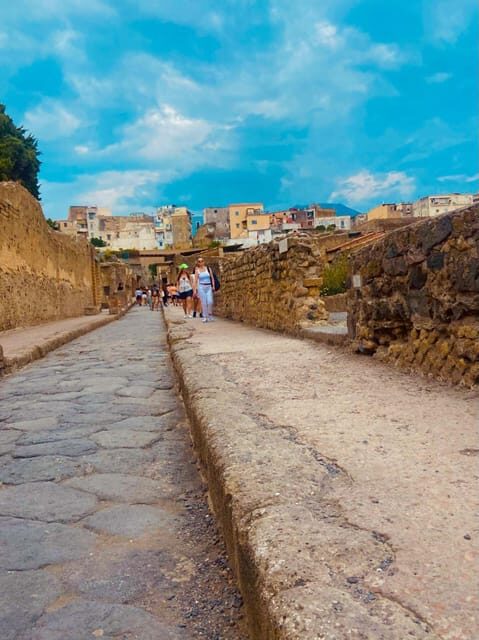 TRAMVIA From Naples: Ercolano Ruins e Vesuvius Transfer bus - Who This Tour Fits Best (and Who Might Feel Short-Changed)