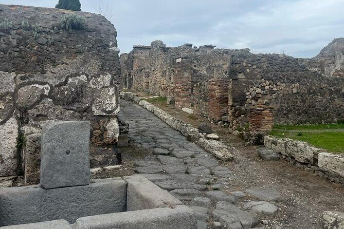 Tramvia Napoli Daily Trip to Pompeii Ruins - The Pompeii walk itself: houses, taverns, and mosaics on the route