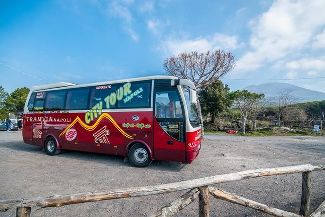 Tramvia Napoli: Transfer to Herculaneum Ruins + Vesuvius - Key Points to Know Before You Go