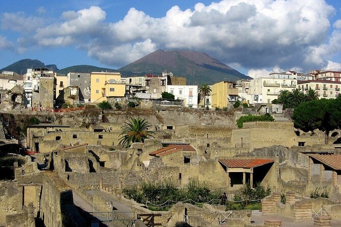Tramvia Napoli: Transfer to Herculaneum Ruins + Vesuvius - Price and value: what your $40.72 actually covers