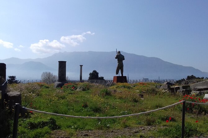 Transfer From Naples area to Sorrento with 2hr stop in Pompeii - Should you book this Naples to Sorrento transfer with Pompeii stop?