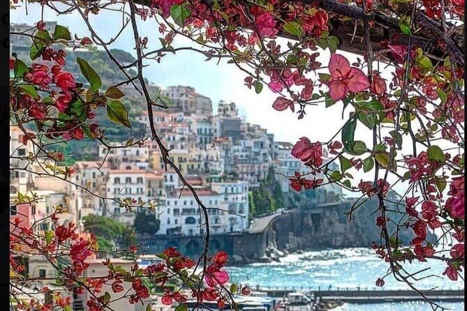 Transfer from Naples to Positano with a stop at Pompeii or Positano to Naples - Who this transfer is best for