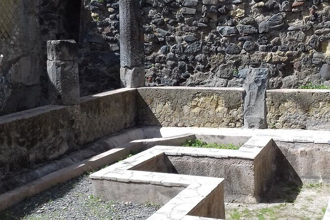 Transfer From Naples Train Station/area to Sorrento 2hr stop in Herculaneum - Optional Authorized Guide: When €150 Is Worth It